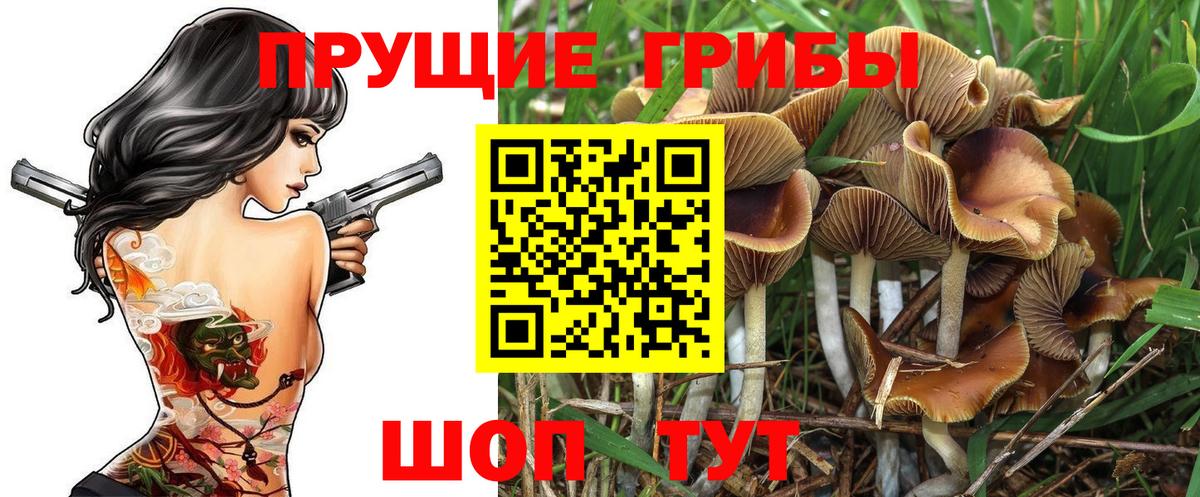 Псилоцибиновые грибы GOLDEN TEACHER  Ачинск  Галлюциногенные грибы мухоморы 